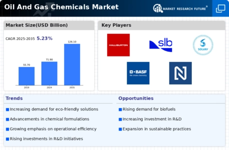 Oil Gas Chemicals Market Infographic
