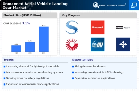 Unmanned Aerial Vehicle Landing Gear Market Infographic
