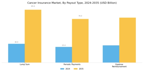 Cancer Insurance Market Segment Image 3