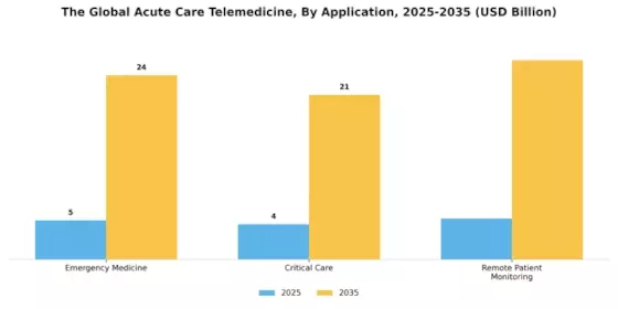 Acute Care Telemedicine Market Segment Image 3