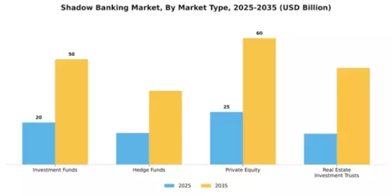 Shadow Banking Market Segment Image 1