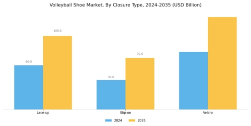 Volleyball Shoe Market Segment Image 3