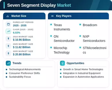 Seven Segment Display Market Infographic