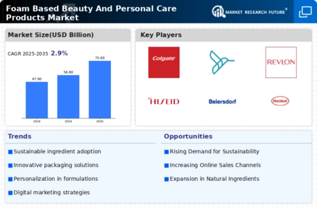 Foam Based Beauty And Personal Care Products Market Infographic