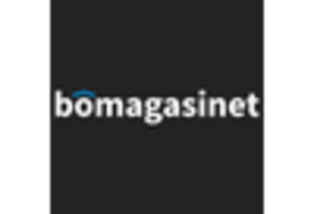 Vibratory Plate Compactor Market key player