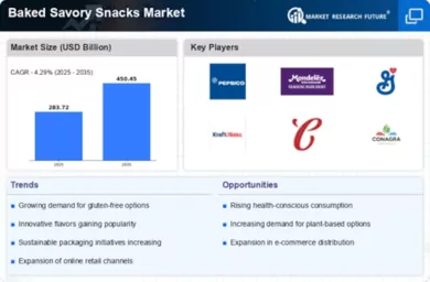 Baked Savory Snacks Market Infographic