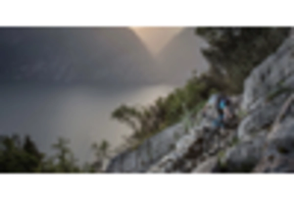 Bonnet Lock Plate Latch Market key player