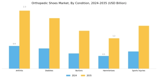Orthopedic Shoes Market Segment Image 1