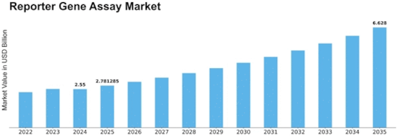 Reporter Gene Assay Market Size