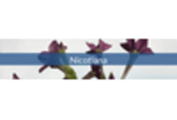 Europe Pure Nicotine Market key player