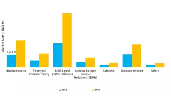 Osteoporosis Market Segment Image 1