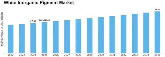 White Inorganic Pigment Market Size