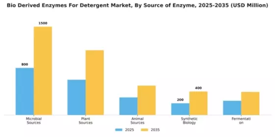 Bio Derived Enzymes For Detergent Market Segment Image 3