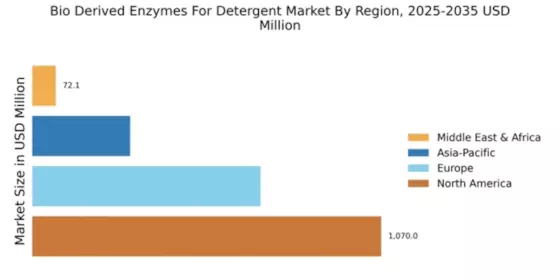 Bio Derived Enzymes For Detergent Market Regional Image