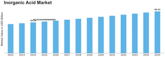 Inorganic Acid Market Size