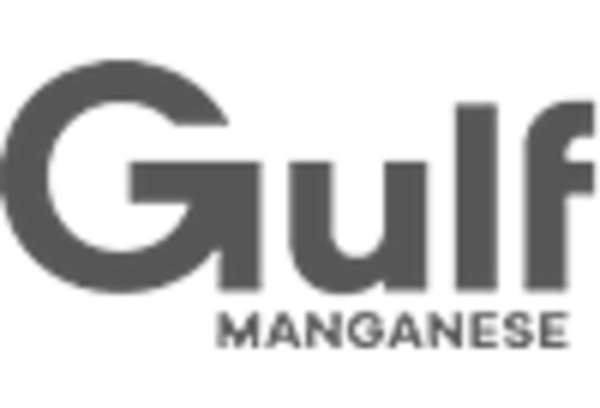 Electrolytic Manganese Metal Market
 key player