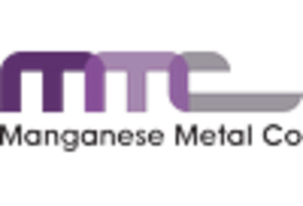 Electrolytic Manganese Metal Market
 key player