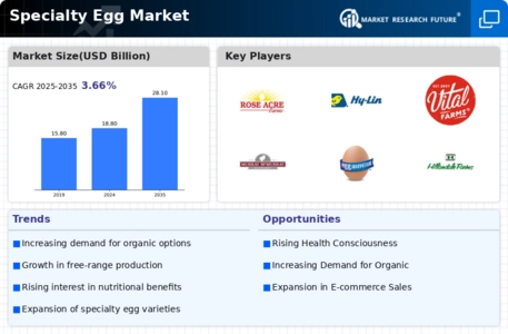 Specialty Egg Market Infographic