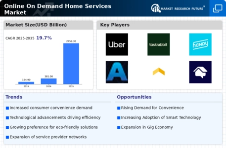 Online On Demand Home Services Market Infographic
