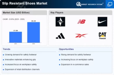 Slip Resistant Shoes Market Infographic