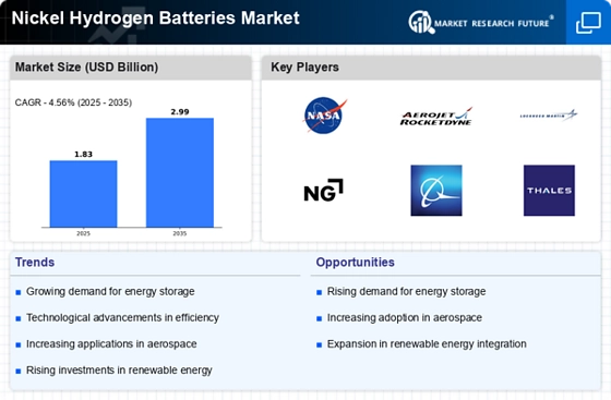 Nickel Hydrogen Batteries Market Infographic