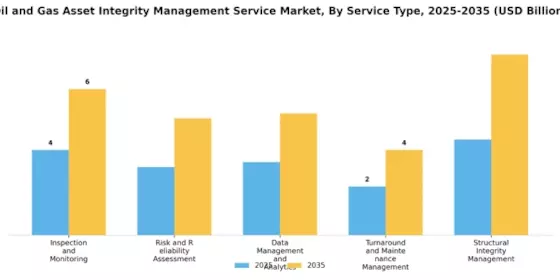 Oil Gas Asset Integrity Management Service Market Segment Image 0