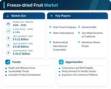 Freeze-dried Fruit Market Infographic