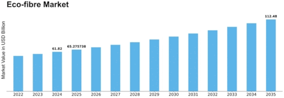 Eco-fibre Market Size