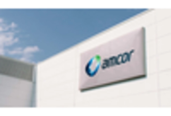 Flexible Film Market key player