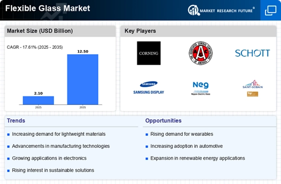 Flexible Glass Market  Infographic