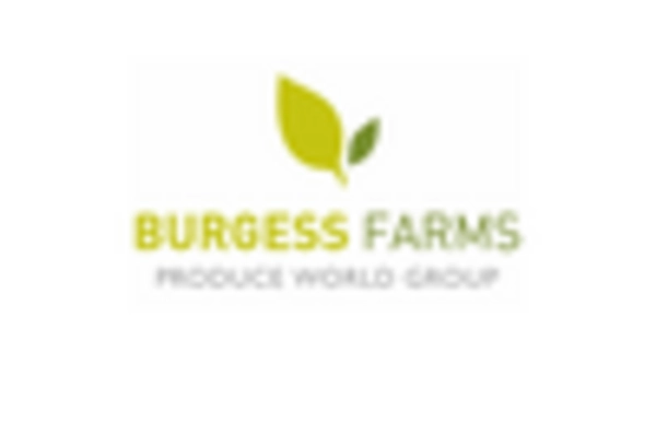 Fresh Peache Market key player