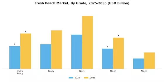 Fresh Peache Market Segment Image 4