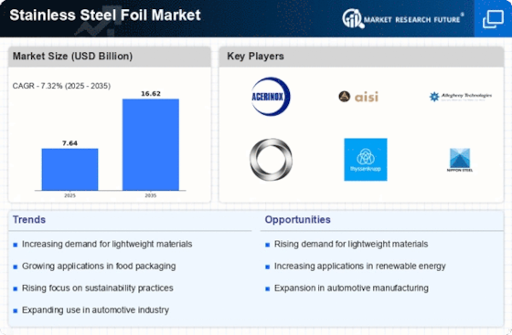 Stainless Steel Foil Market Infographic