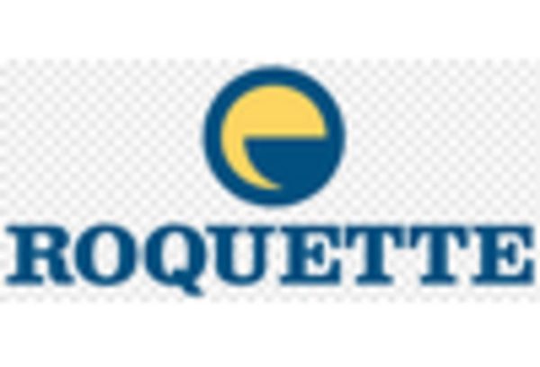 Rice strach Market key player