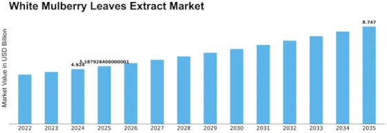 White Mulberry Leaves Extract Market Size