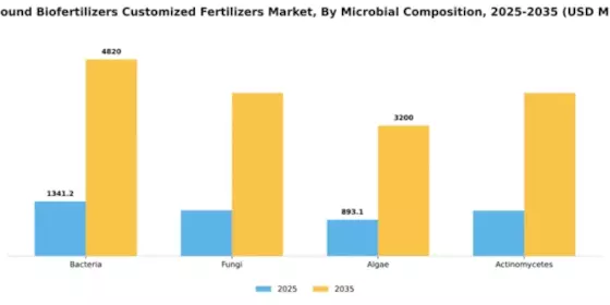 Compound Biofertilizers Customized Fertilizers Market Segment Image 4