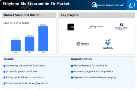 Ethylene Bis Stearamide Market Infographic