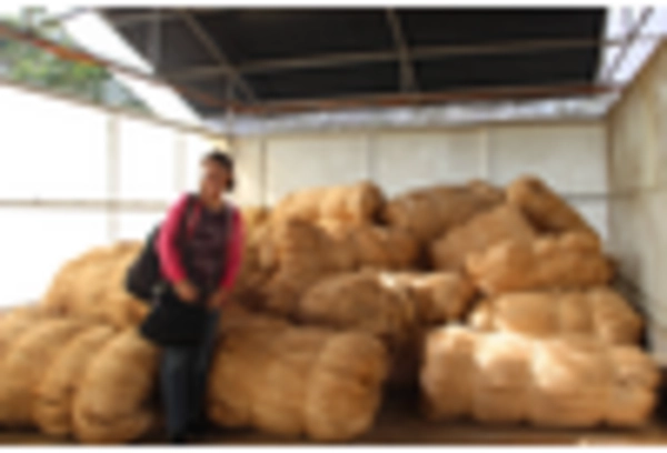 Abaca Pulp Market key player