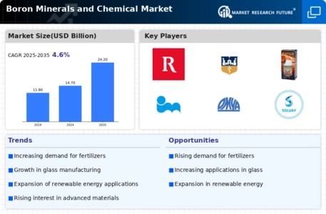 Boron Minerals and Chemical Market Infographic