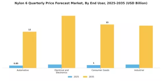 Nylon 6 Quarterly Price Forecast Market Segment Image 1