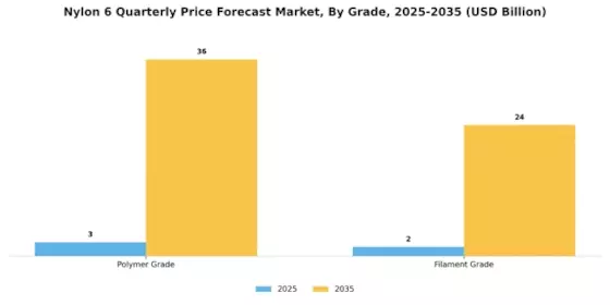 Nylon 6 Quarterly Price Forecast Market Segment Image 2