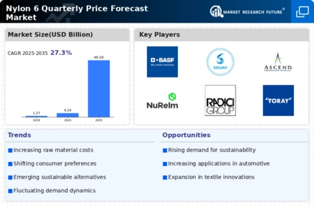 Nylon 6 Quarterly Price Forecast Market Infographic