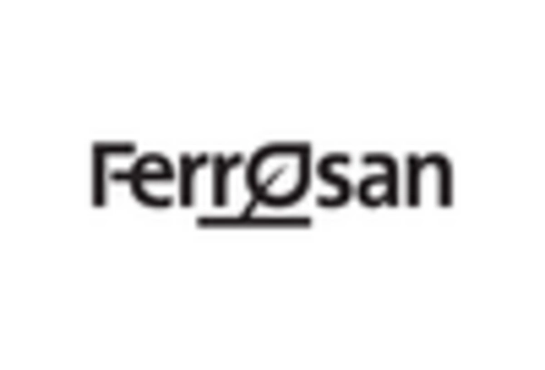 Ferrous Fumarate Market key player