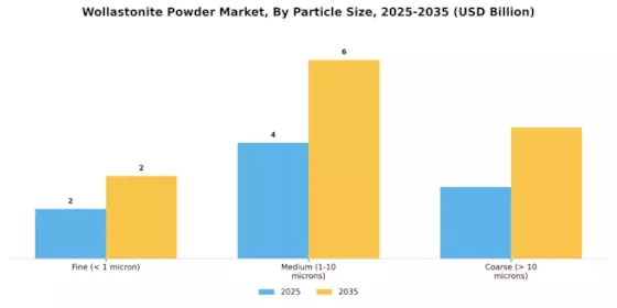 Wollastonite Powder Market Segment Image 3
