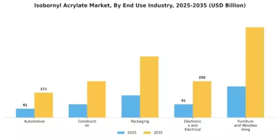 Isobornyl Acrylate Market Segment Image 1