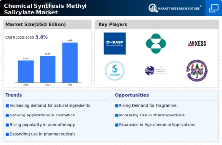 Chemical Synthesis Methyl Salicylate Market Infographic
