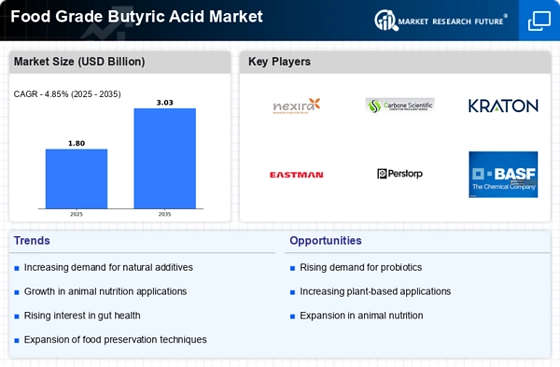 Food Grade Butyric Acid Market Infographic