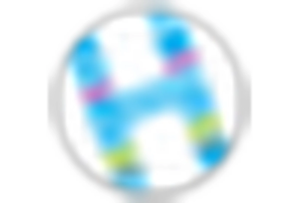 Non Commercial Acrylic Paint Market key player