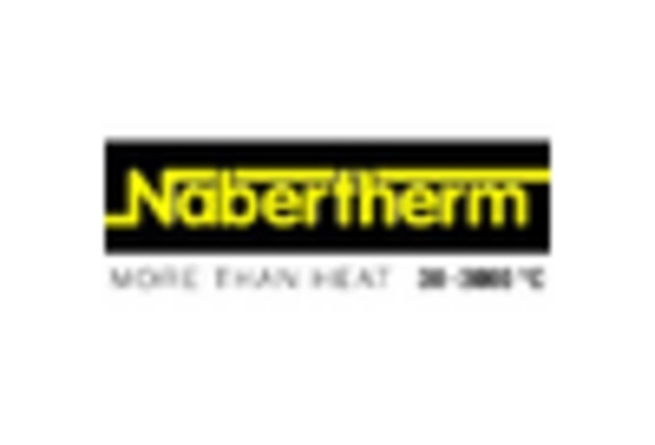 Laboratory Furnace Market key player