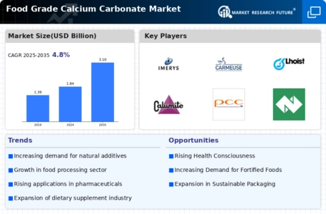 Food Grade Calcium Carbonate Market Infographic